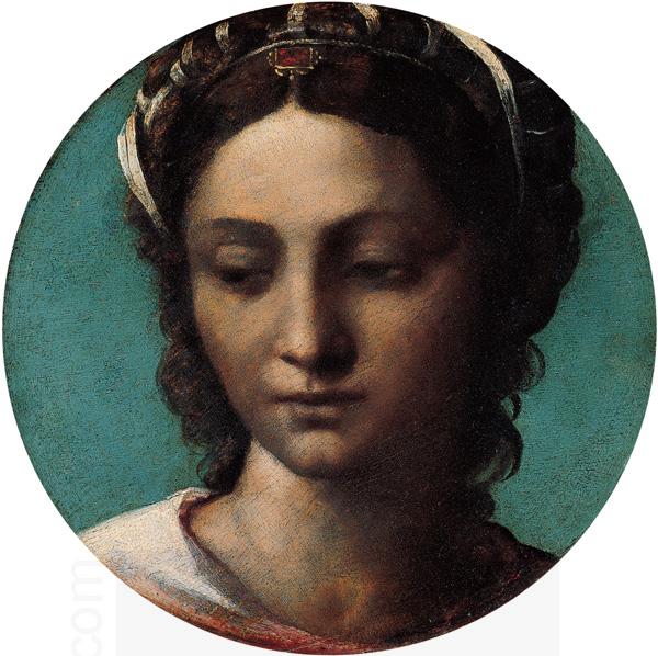 Sebastiano del Piombo Head of a Woman China oil painting art